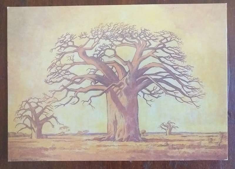 Postcards with topic JH Pierneef prints - all new unused condition x24 SOLD AS ONE LOT