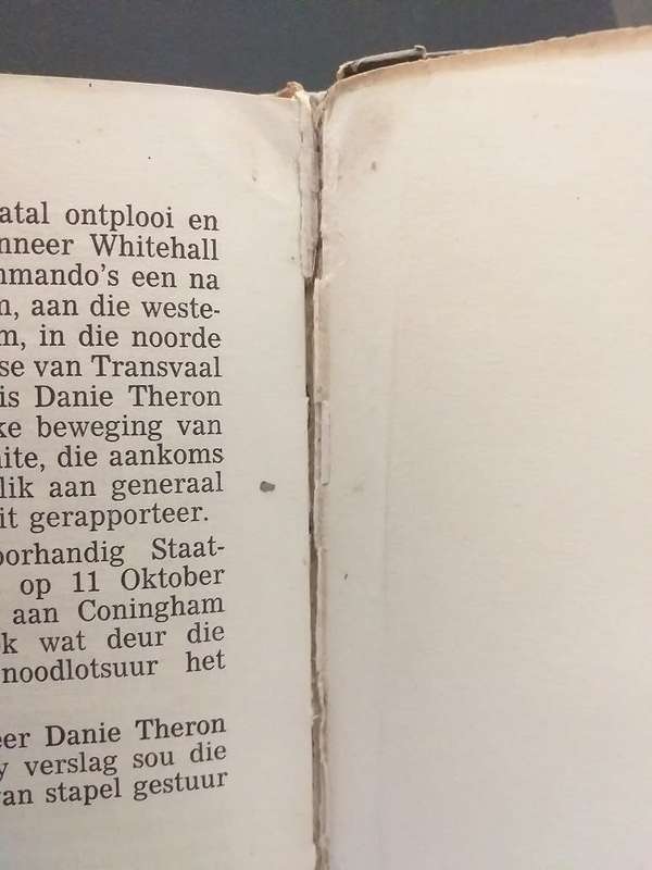 Boerespioen HS van Blerk (Deel 2 Verkenners van Danie Theron) *** LEESKOPIE ***