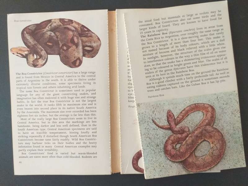 Snakes of the world (John Stidworthy) *** READING COPY ***