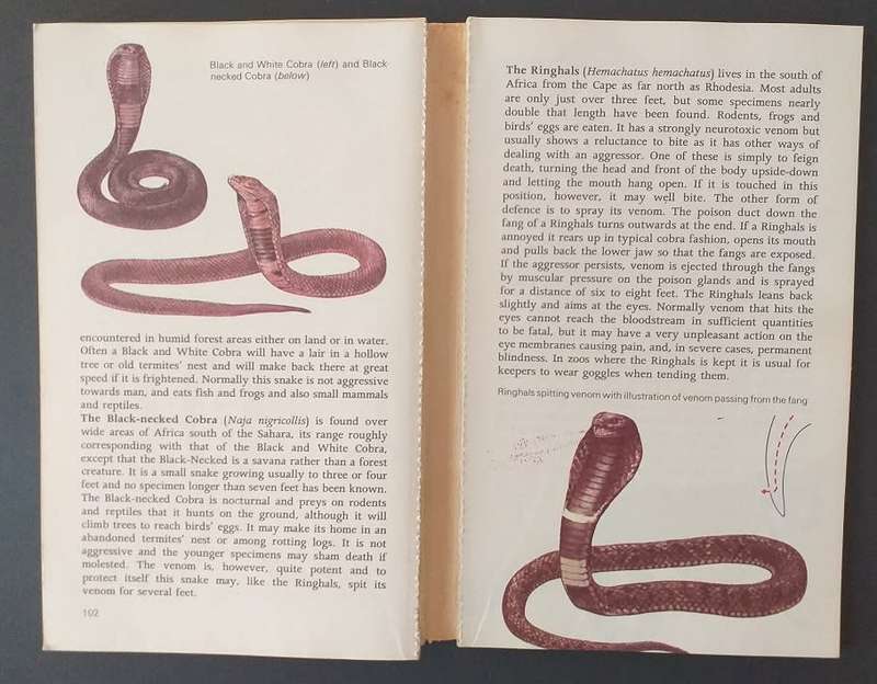 Snakes of the world (John Stidworthy) *** READING COPY ***