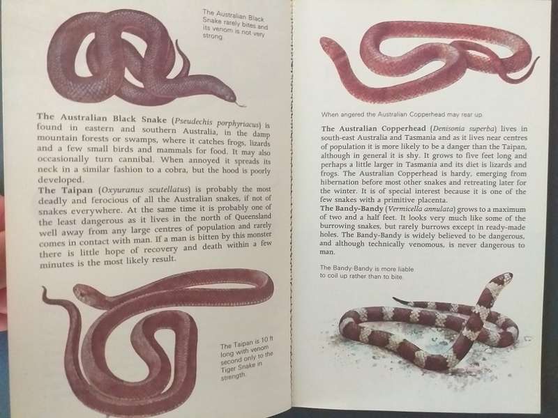 Snakes of the world (John Stidworthy) *** READING COPY ***