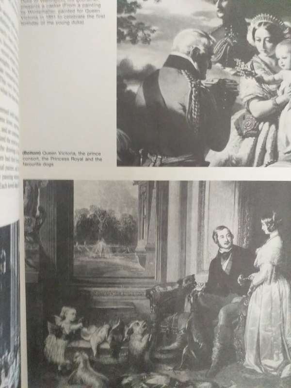 Lantern Tydskrif Magazine Jul 1985 vol 34 nr 3