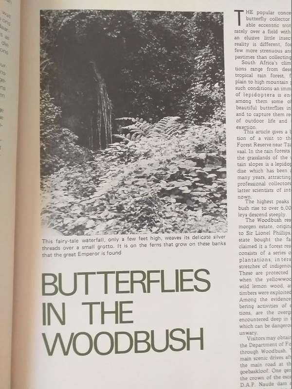 Lantern Tydskrif Magazine Jun 1968 vol 18 nr 4