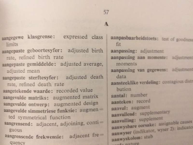 Statistiek Woordeboek - Statistical Dictionary *** READING COPY OLD LIBRARY BOOK ***