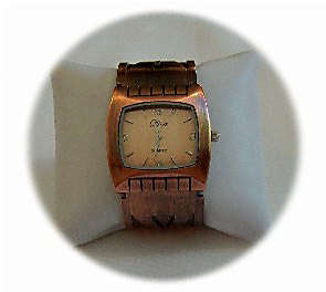 Ladies Diva Stainless Steel Bangle Quartz Watch