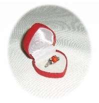 Ladies Orange CZ 925 Sterling Silver Ring - Size 19