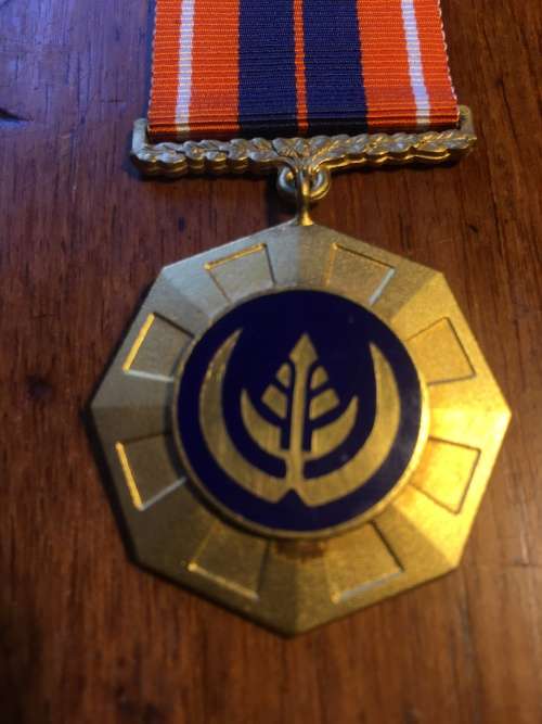 Low number Pro Patria medal