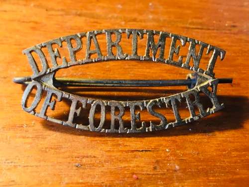 Department of Forestry brass shoulder title