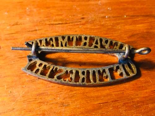 Department of Forestry brass shoulder title