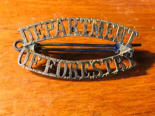 Department of Forestry brass shoulder title