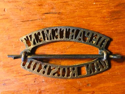 Department of Forestry brass shoulder title