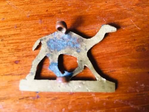 Imperial camel corps cap badge WW1 (rare)