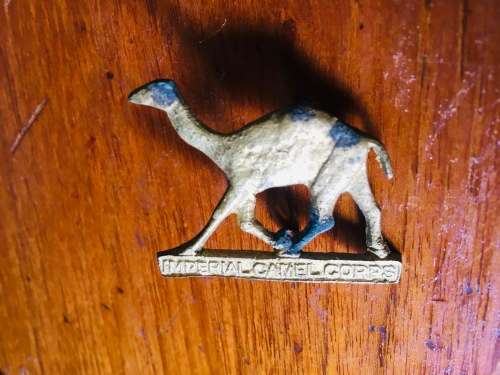 Imperial camel corps cap badge WW1 (rare)