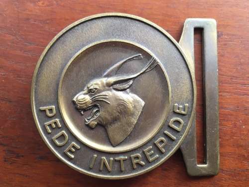 Regiment Pretorius stable belt buckle