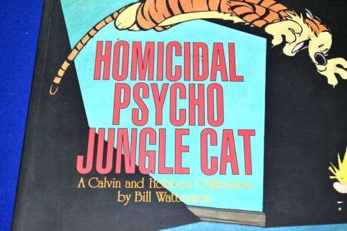 Calvin and Hobbs - Homicidal Psycho Jungle Cat