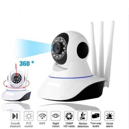 Ip Cameras