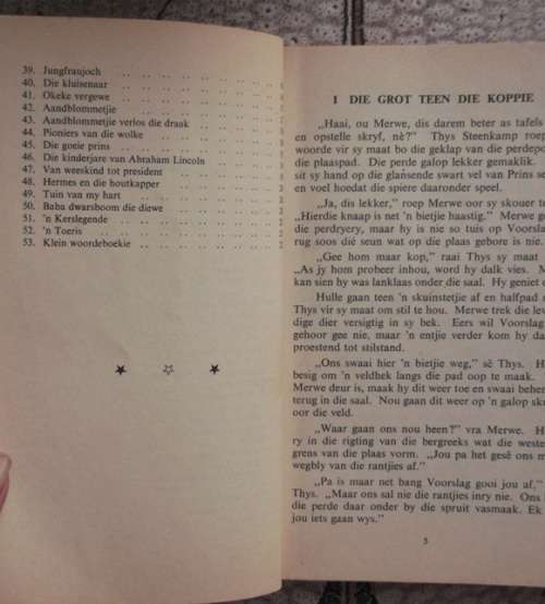 Die Wedstryd - Presidents reeks - skool leesboek vir ou std IV (Graad 5)