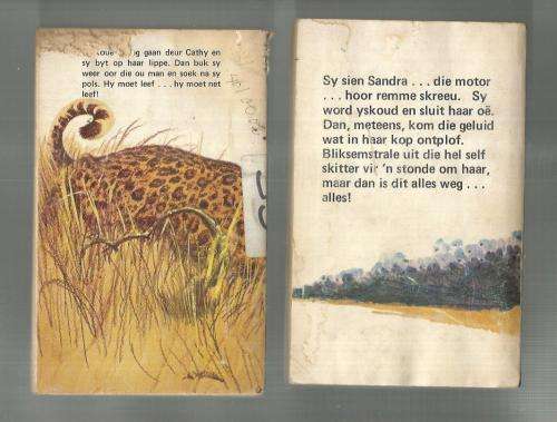 Agter die newels & Agter die skerms - 2 speurverhale deur Maria M Bekker