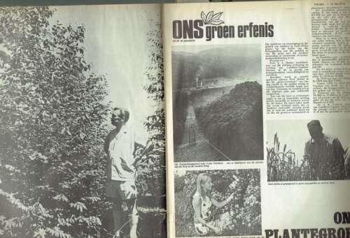 Pronk Tydskrif - 18 Mei 1973 - Sien produkbeskrywing