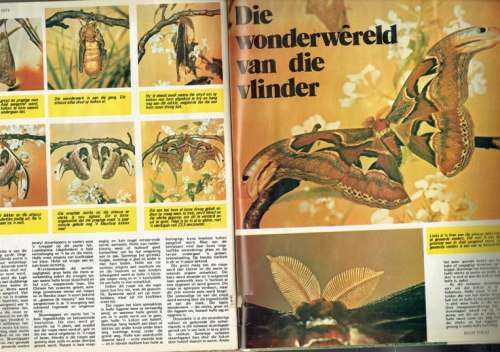 Pronk Tydskrif - 18 Mei 1973 - Sien produkbeskrywing
