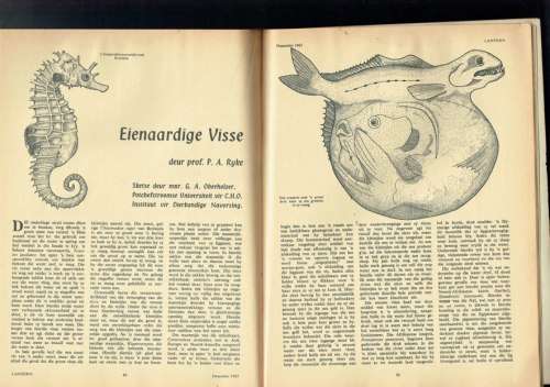 Lantern Tydskrifte - lot van 2 - Junie 1964 en Des 1963 - Sien produkbeskrywing