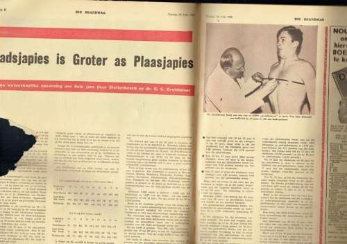 Brandwag Tydskrif - 22 Jul 1960 - Sien Produkbeskrywing