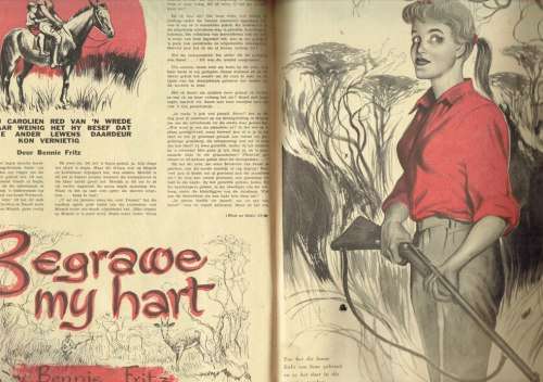 Brandwag Tydskrif - 22 Jul 1960 - Sien Produkbeskrywing