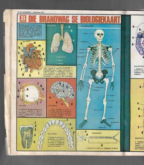Brandwag Tydskrif - 1 September 1972 - Sien produkbeskrywing