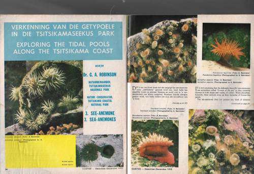 Custos Magazine Dec 1972 Nr 1 Vol 2 - magazine for the SA national parks