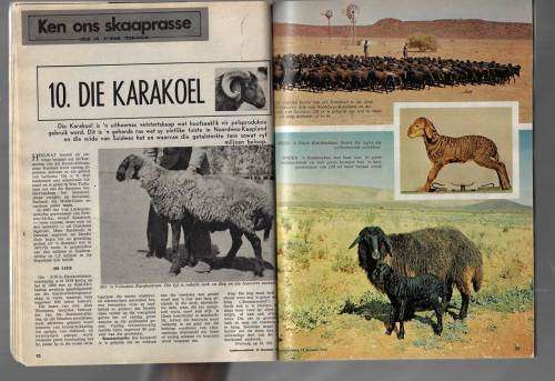 Landbouweekblad Tydskrif 16 Des 1977 - sien scans vir inhoud