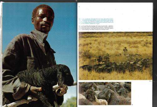 Namibia - a beautiful Photobook of the country - vintage 1977 edition