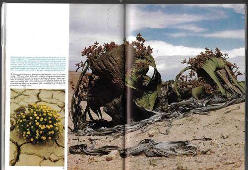 Namibia - a beautiful Photobook of the country - vintage 1977 edition