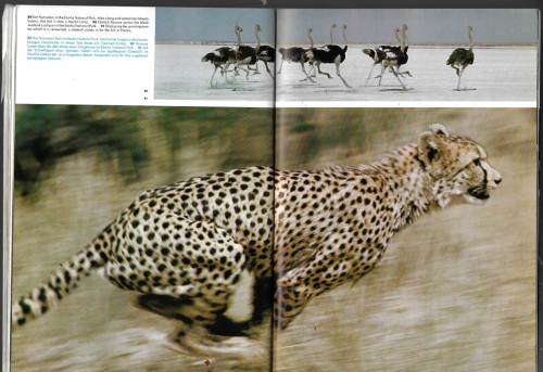 Namibia - a beautiful Photobook of the country - vintage 1977 edition
