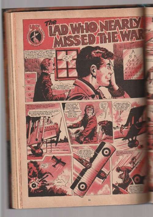 Battle Picture Weekly Annual 1981 - Comics - Stories