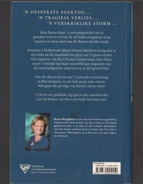 Die Ontmoeting - Karen Kingsbury - Eersgeborenes Reeks nr 3