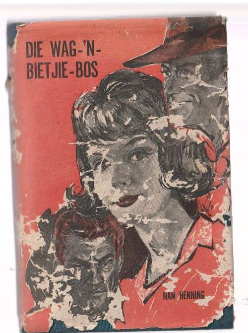 Die Wag-n-bietjie-bos - Nan Henning - Roman (K1)