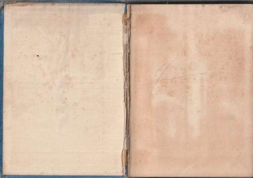 Lees met Lus - Afrikaanse Leesboek vir std IV - Hoogenhout (k5) Ou Skool leesboek