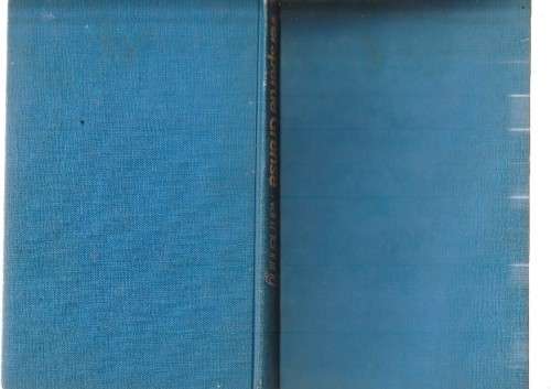 Versperde Grense - Nan Henning (c2) - Roman