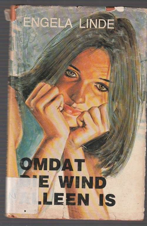 Omdat die wind alleen is - Engela Linde (c3) - roman