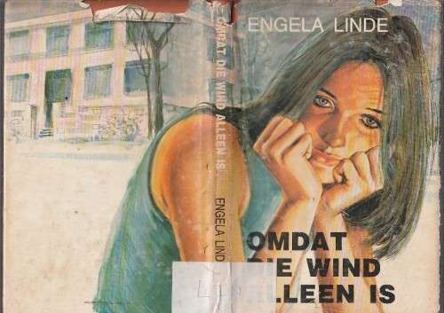 Omdat die wind alleen is - Engela Linde (c3) - roman