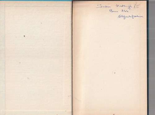 Blink soos die Morester - Susanna M Lingua - (c3) - Roman