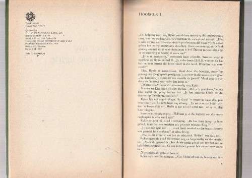 Leer my van die liefde - Ilse Steyn - (c5) Roman