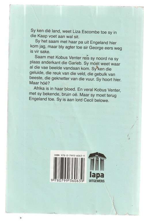 Die jare wat verby is - Pierre Uys (c5) - roman