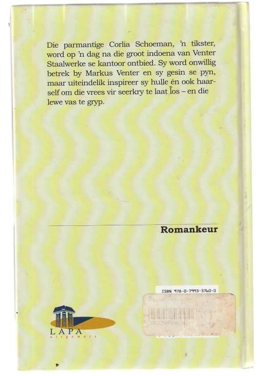 Die tweede somer - Mari van den Berg (c6) - Roman