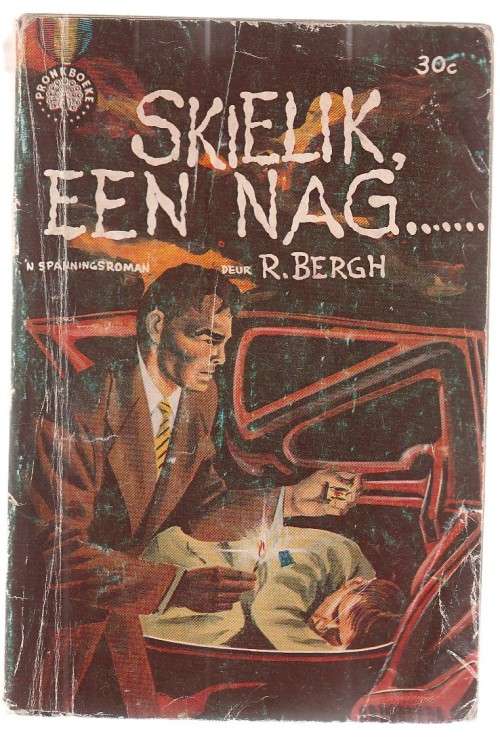 Skielik een nag - R Bergh (o1) Pronk boek Spannings verhaal