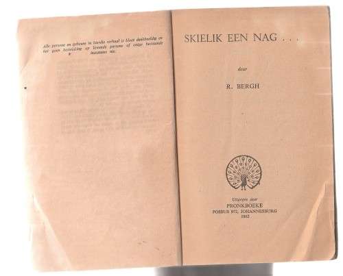 Skielik een nag - R Bergh (o1) Pronk boek Spannings verhaal