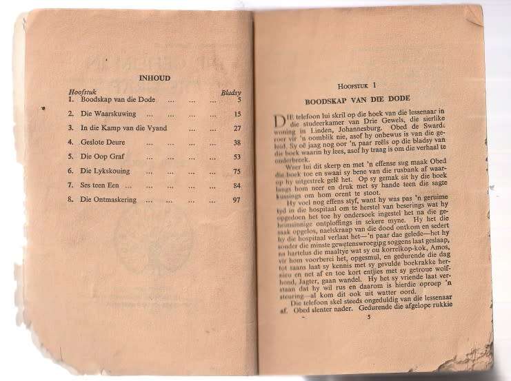 Die Geheim van die graf - Gerrie Radlof (k4) Swerwer Speurder nr 12 Pronk boek