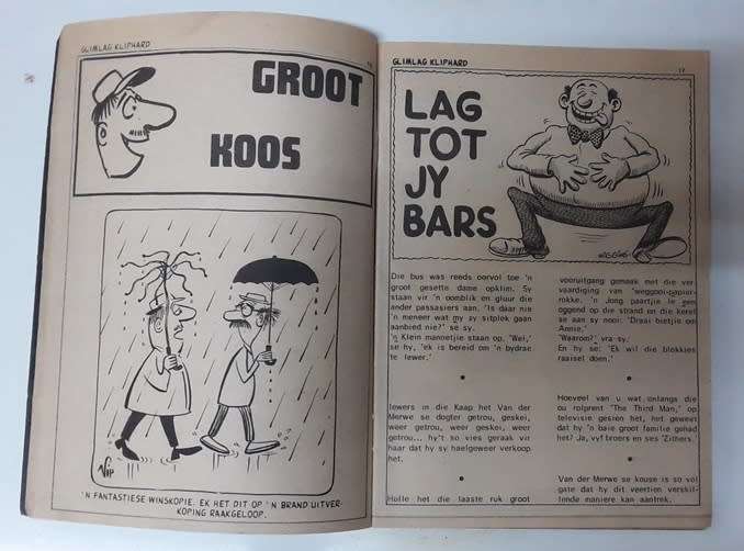 Glimlag Kliphard Nr 22 (a9) - Grappe - Spotprente - Strokies ens