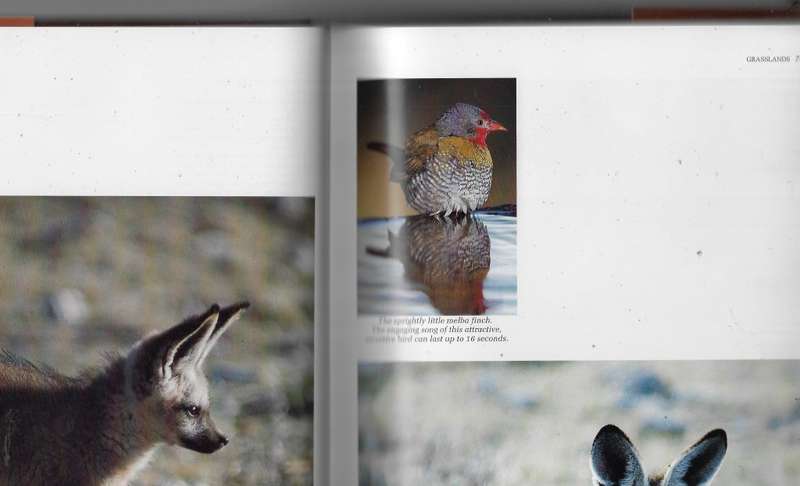 Southern Africa Spectacular world of Wildlife (F) - Readers Digest coffee table book
