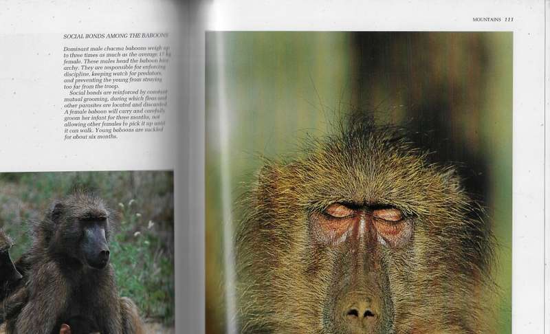 Southern Africa Spectacular world of Wildlife (F) - Readers Digest coffee table book